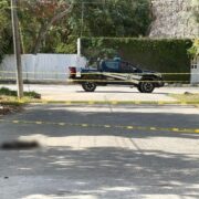 Enven3namiento perros en Tizimín: Horror y alerta vecinal