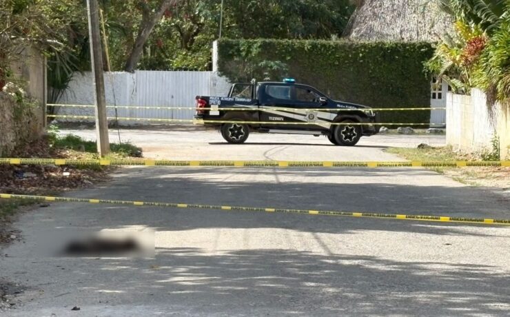 Enven3namiento perros en Tizimín: Horror y alerta vecinal