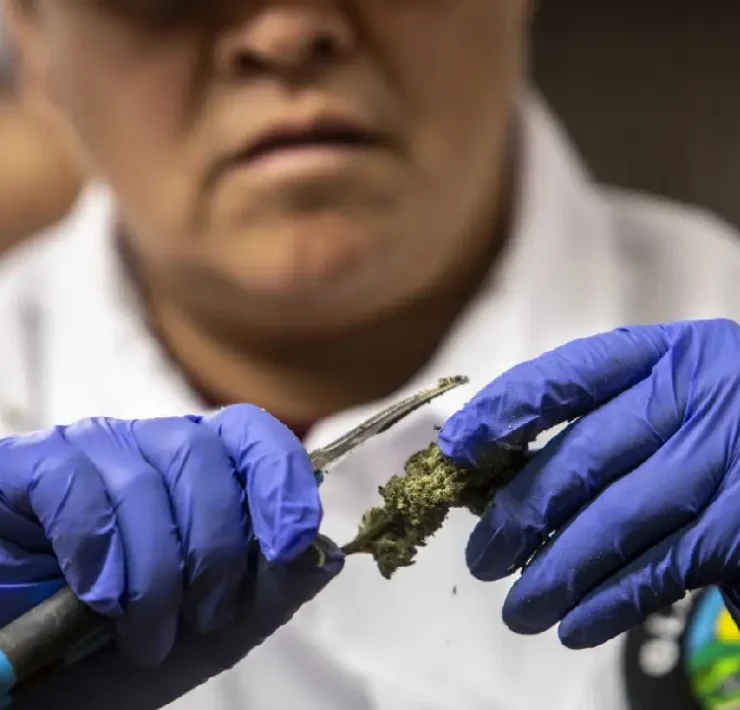 Fentanilo con marihuana en Yucatán alerta silenciosa que preocupa a autoridades