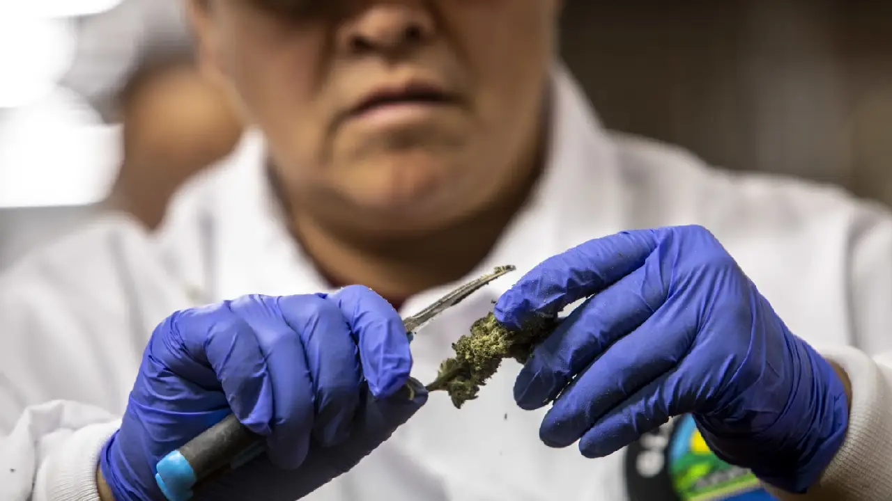 Fentanilo con marihuana en Yucatán alerta silenciosa que preocupa a autoridades