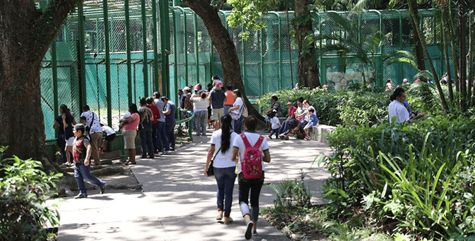 Horario de visita y cierre de taquillas de Parque Museo La Venta