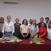 Protección Vital: Inicia temporada de anidación de tortugas marinas en Yucatán