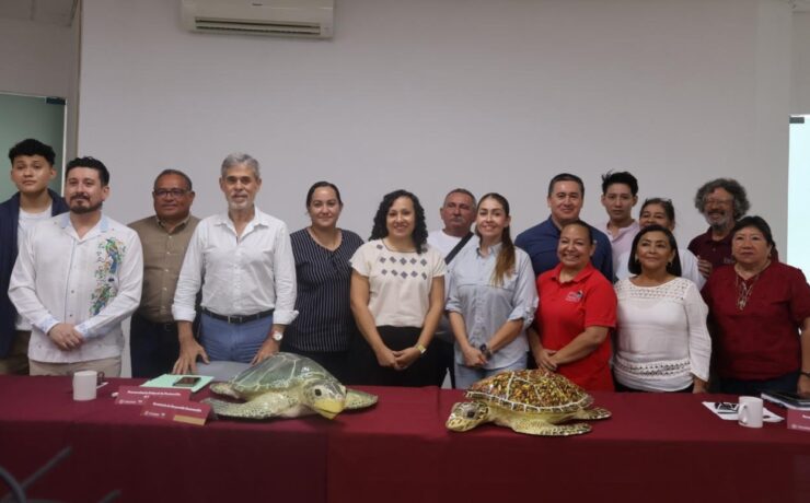 Protección Vital: Inicia temporada de anidación de tortugas marinas en Yucatán