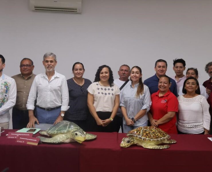 Protección Vital: Inicia temporada de anidación de tortugas marinas en Yucatán