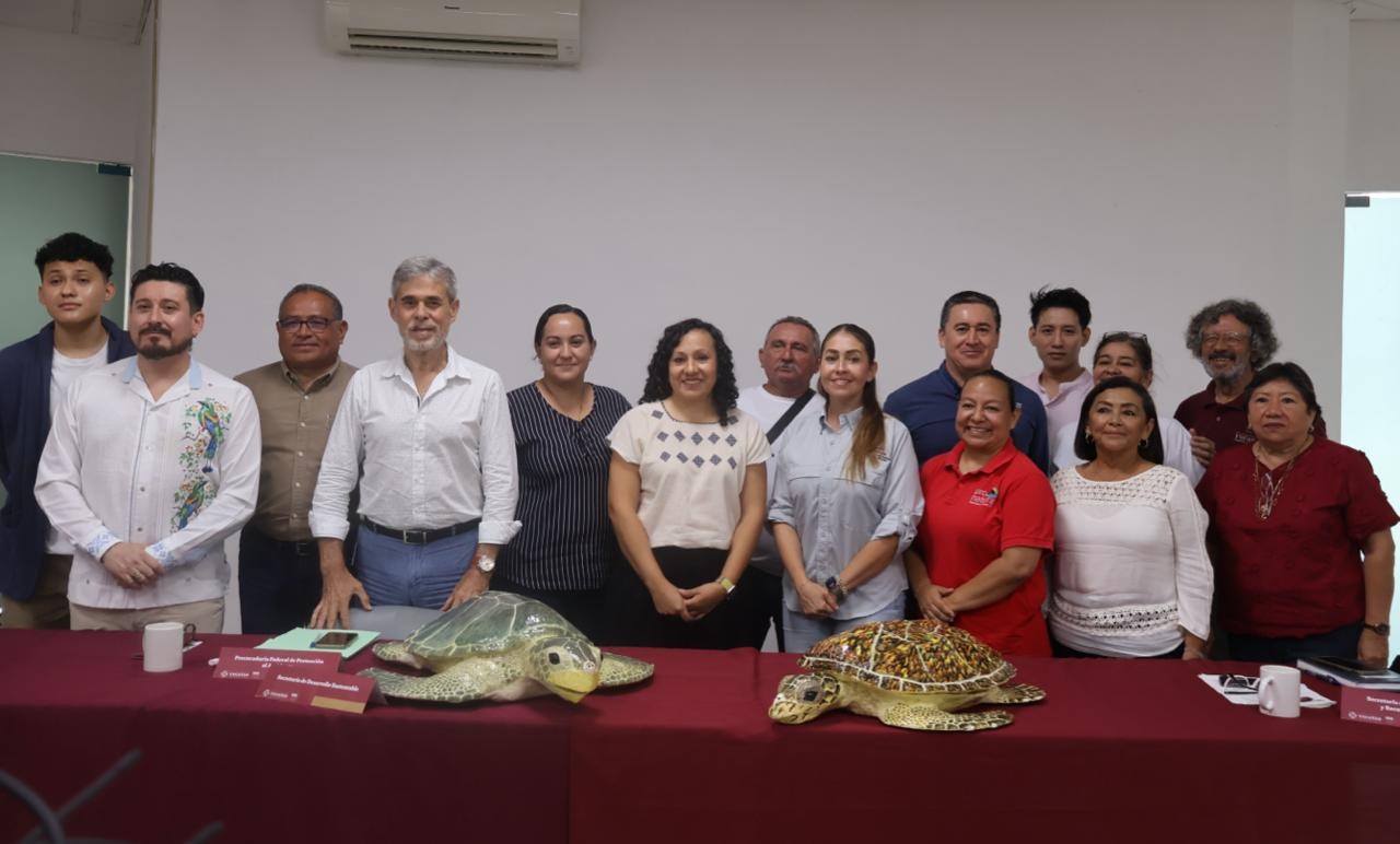 Protección Vital: Inicia temporada de anidación de tortugas marinas en Yucatán