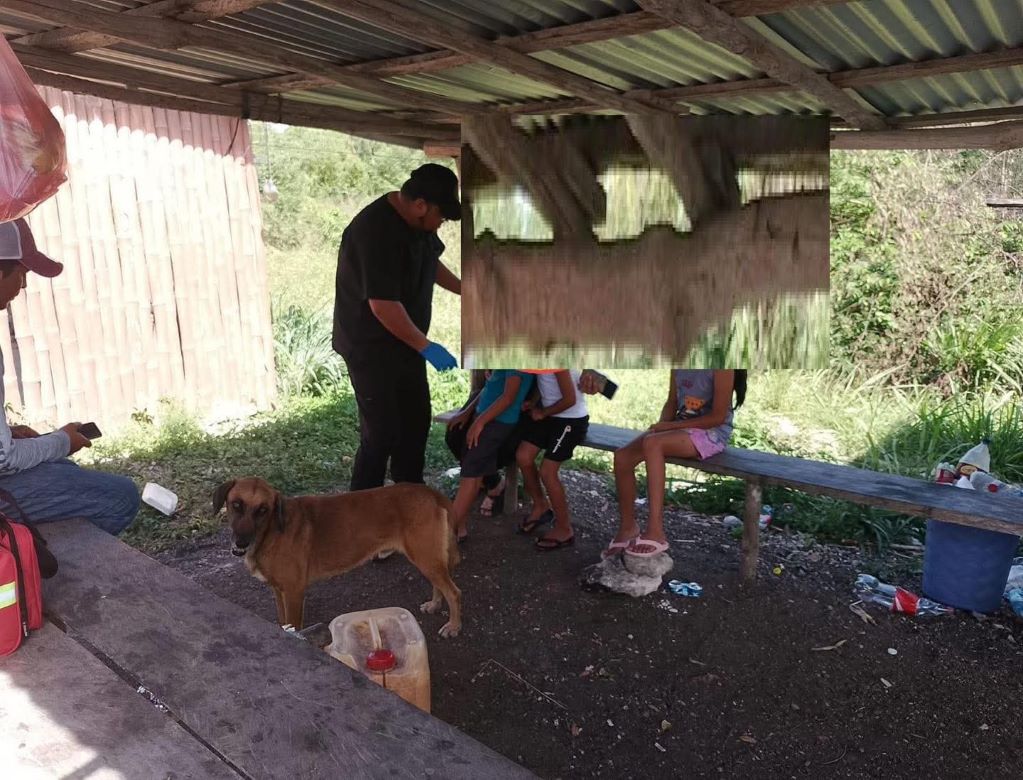 Menores intoxicados tras ingerir veneno para ratas activan emergencia