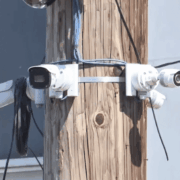 Proponen sancionar el halconeo