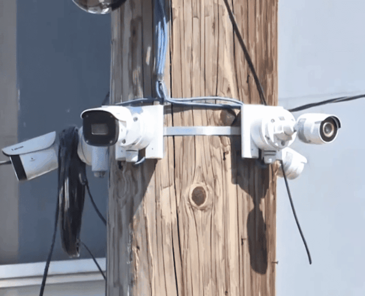 Proponen sancionar el halconeo