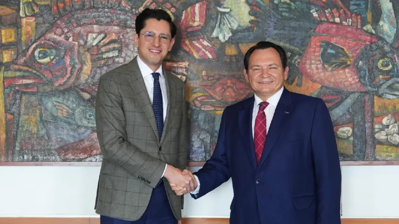 Proyecto del Renacimiento Maya y su proyección internacional