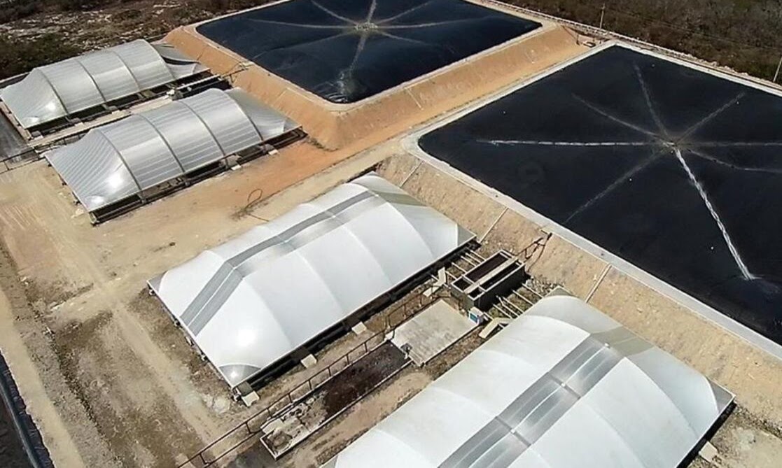 Granjas clandestinas, contaminan acuíferos y cenotes;                                                     ponen en riesgo la salud y el medio ambiente: SEMARNAT