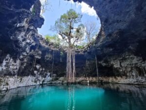 El cenote X’batún es el refugio perfecto en los Últimos días de vacaciones, ideal para refrescarse y conectar con la naturaleza en medio del calor yucateco.