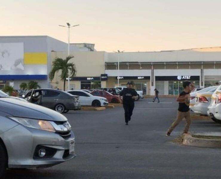 ¡Abejas Furiosas! Enjambre ataca en acceso principal de plaza en Chetumal
