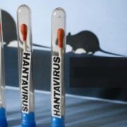 Argentina investiga recorrido de turistas por brote de hantavirus en crucero