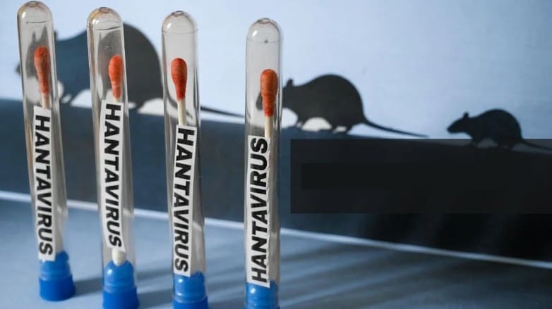 Argentina investiga recorrido de turistas por brote de hantavirus en crucero