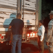 Aseguran 53 animales silvestres en Tabasco