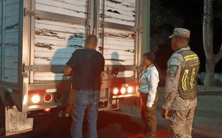 Aseguran 53 animales silvestres en Tabasco