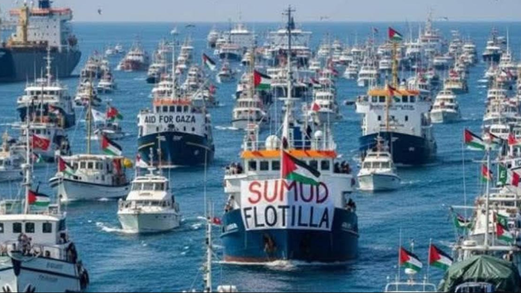 Reacción internacional y postura mexicana
