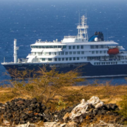 Brote de hantavirus en crucero en el Atlántico