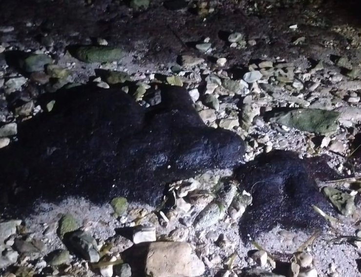 Advierten presencia de chapopote en playas de anidación