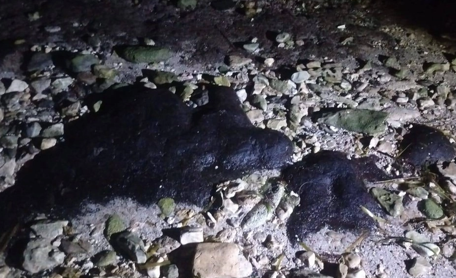 Advierten presencia de chapopote en playas de anidación