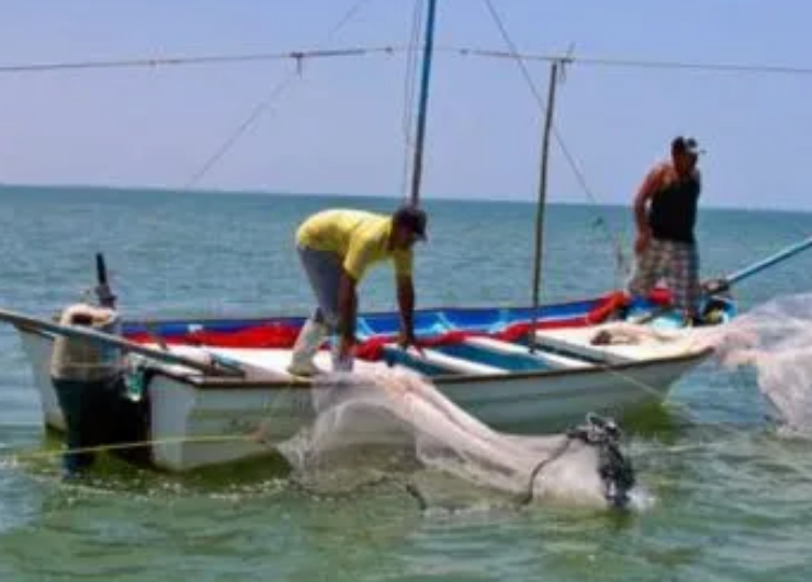 Pesca en Campeche se ve paralizada por veda y constantes derrames