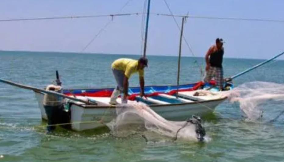 Pesca en Campeche se ve paralizada por veda y constantes derrames
