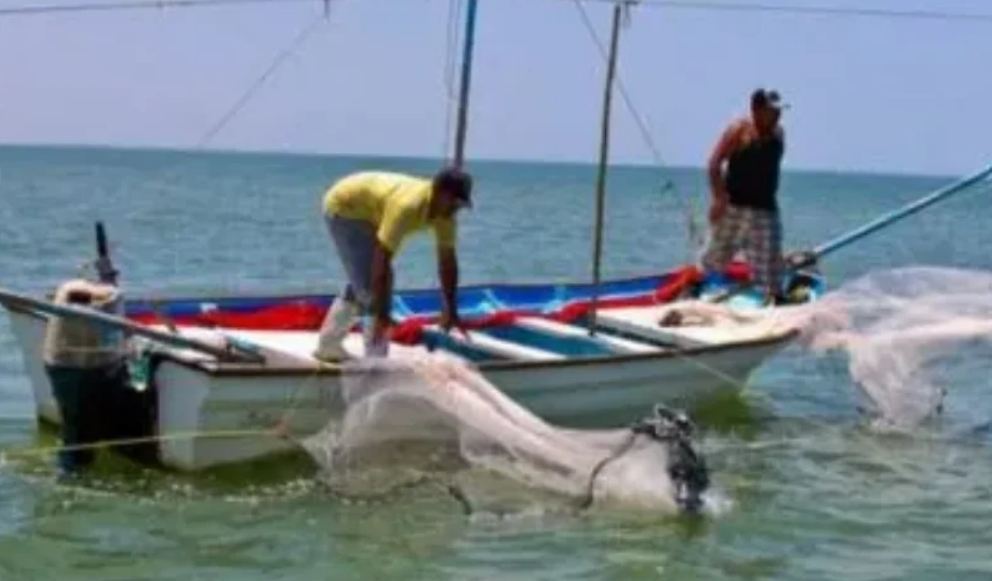 Protección de especies marinas en Campeche