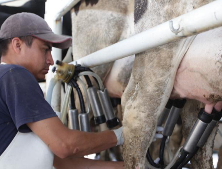 “Plan Campeche” beneficia a miles con apoyos al campo