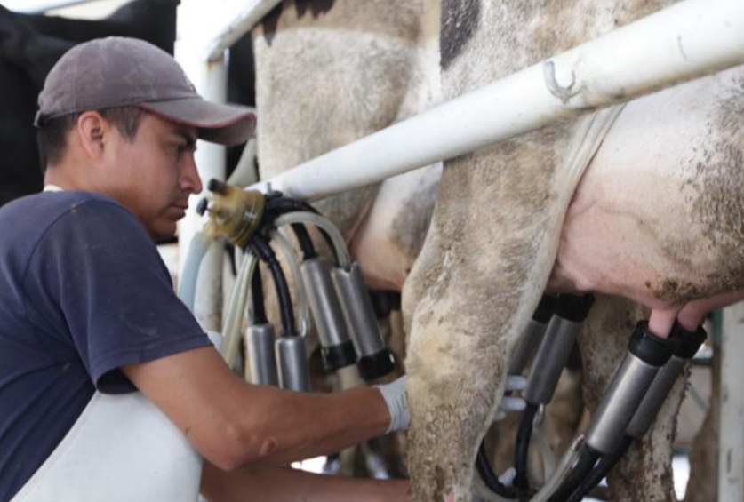 “Plan Campeche” beneficia a miles con apoyos al campo