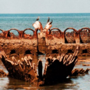 INAH al rescate histórico sorprende Campeche