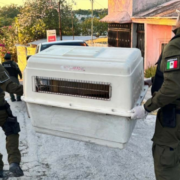 Campeche eleva a Vicefiscalía General la atención a crímenes ambientales y animales