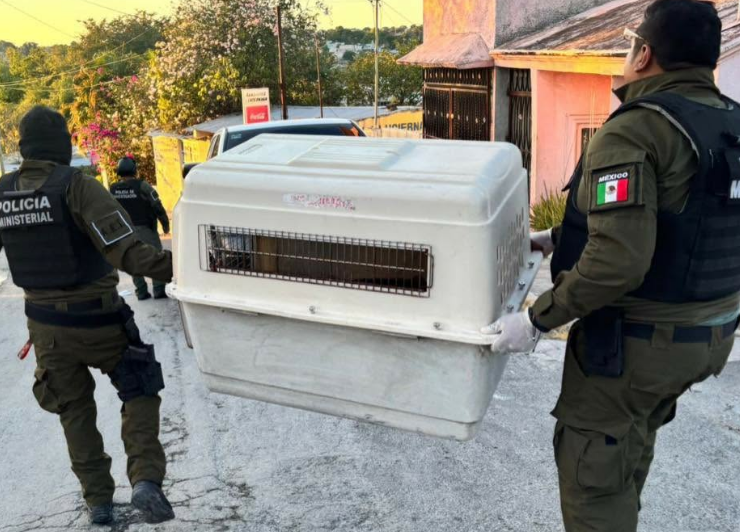 Campeche eleva a Vicefiscalía General la atención a crímenes ambientales y animales
