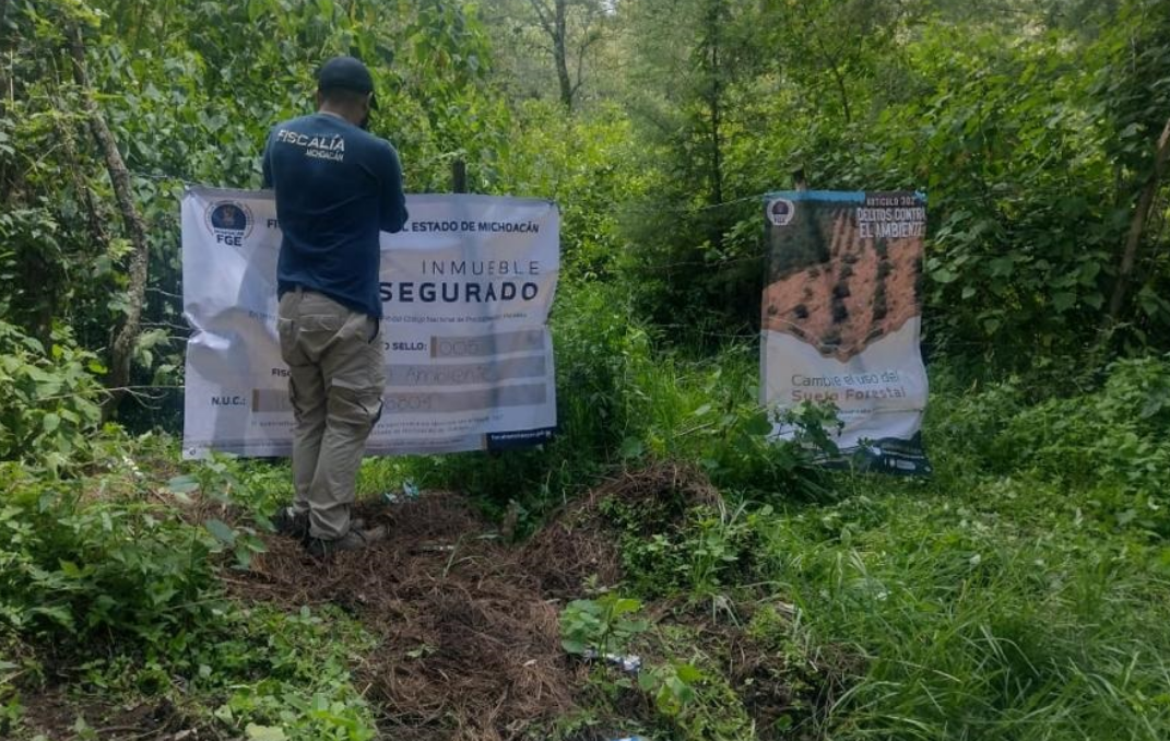 Medicina forense veterinaria ayuda en homicidios