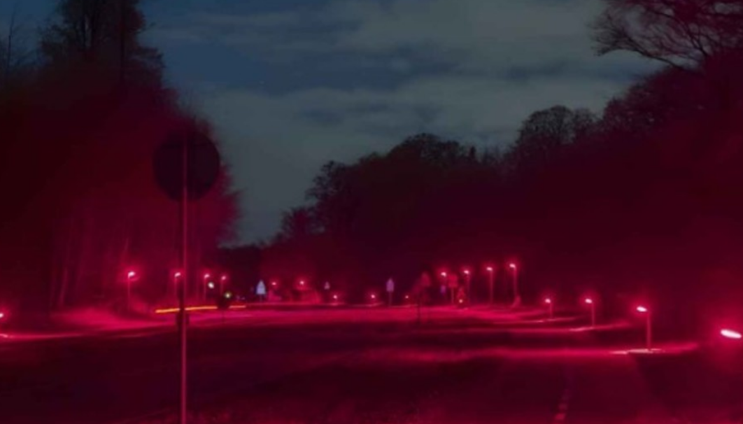 Iluminación roja y corredores ecológicos en Gladsaxe