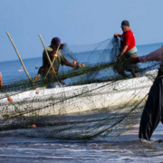 Pescadores quieren hablar de los nuevos motores urgente
