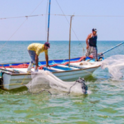 Cientos de pescadores piden “SOS” desesperados por la crisis