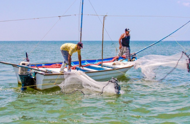 Cientos de pescadores piden “SOS” desesperados por la crisis