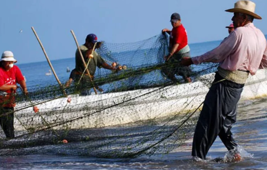 Beneficios económicos para pescadores de Campeche