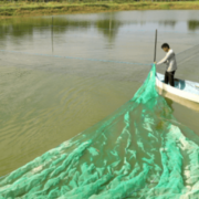 Programa de subsidios dirigidos a pescadores en Campeche
