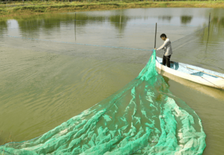 Programa de subsidios dirigidos a pescadores en Campeche