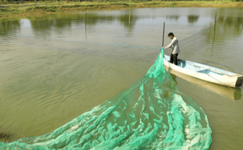 Programa de subsidios dirigidos a pescadores en Campeche