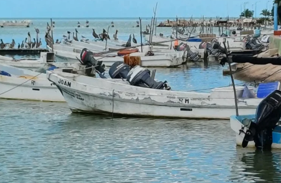 Requisitos del programa de subsidios dirigidos a pescadores