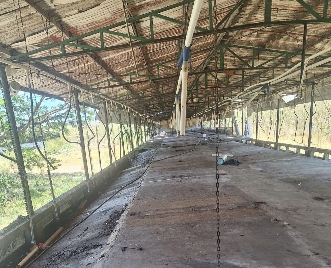 Clausura definitiva granja porcícola Yucatán retiro total animales Profepa confirma