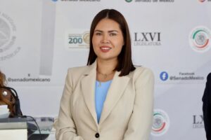 La senadora por Quintana Roo, Anahí González Hernández, solicitó una licencia temporal para separarse de sus funciones legislativas por un periodo de cinco días