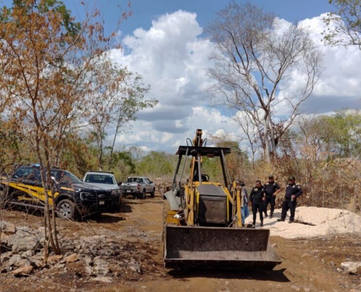Profepa ejecuta inspección y clausura predio en Reserva Cuxtal Mérida