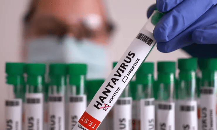 Tabasco descarta riesgo por hantavirus