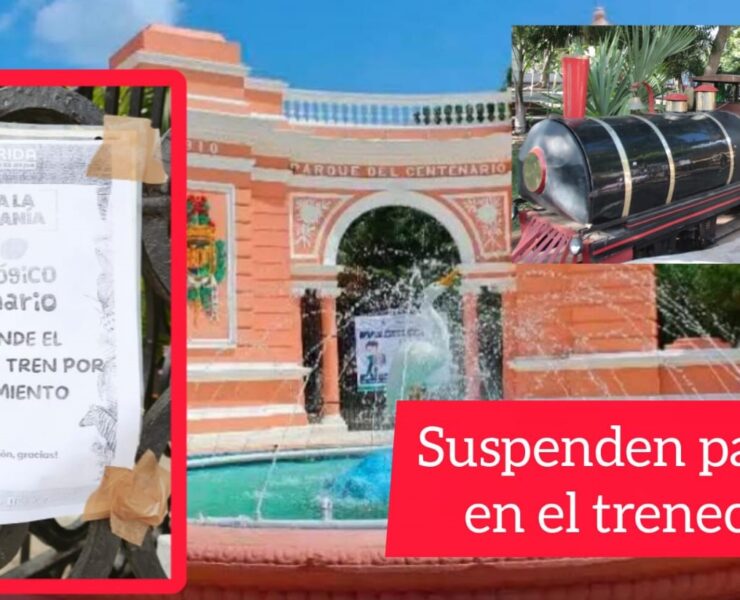 Trenecito suspende servicio indefinidamente tras percances