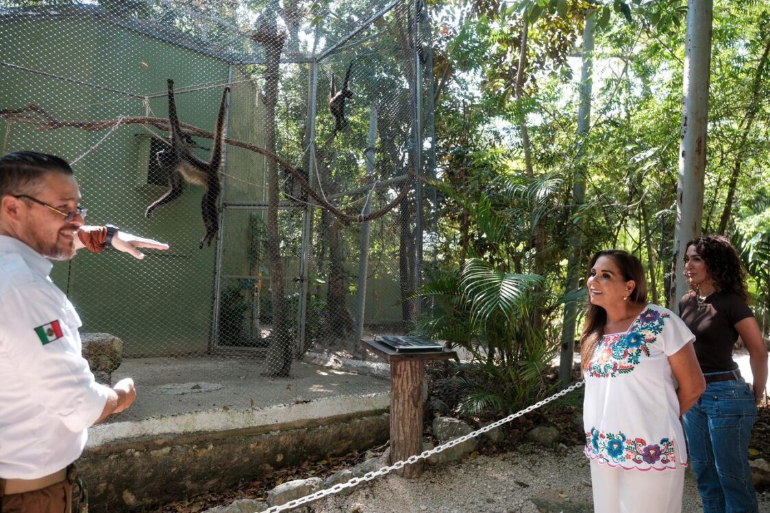 10 primates asegurados reciben atención en UMA especializada