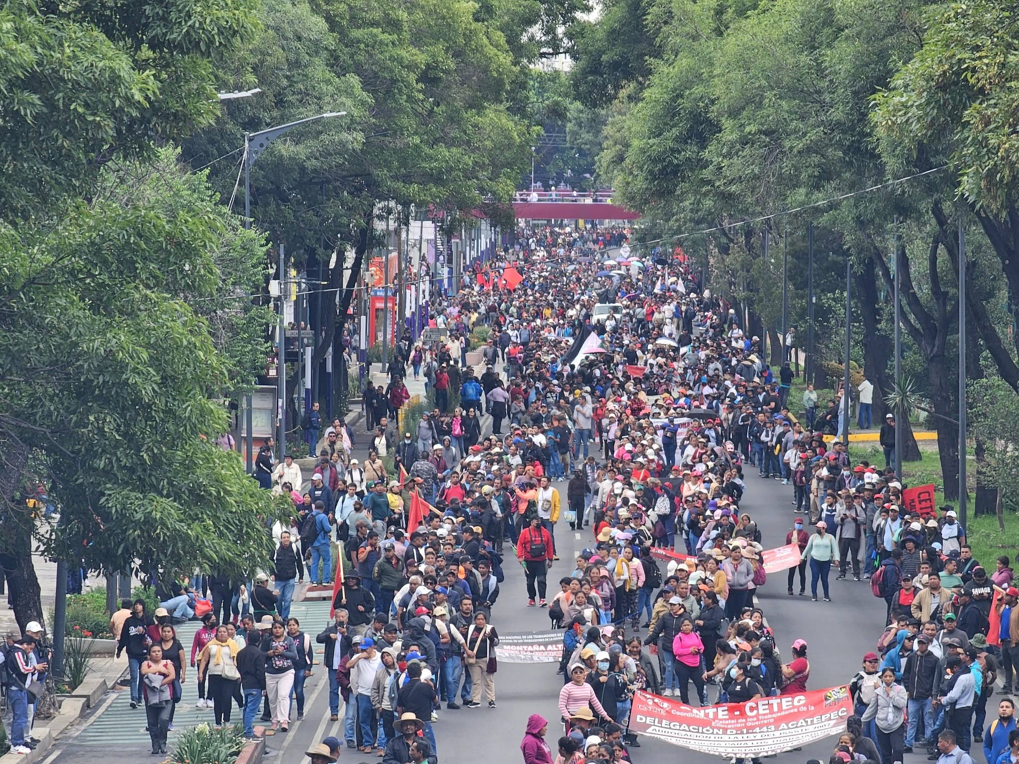 CNTE