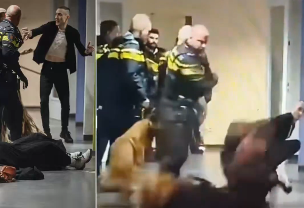 Investigación sobre el uso de la fuerza policial